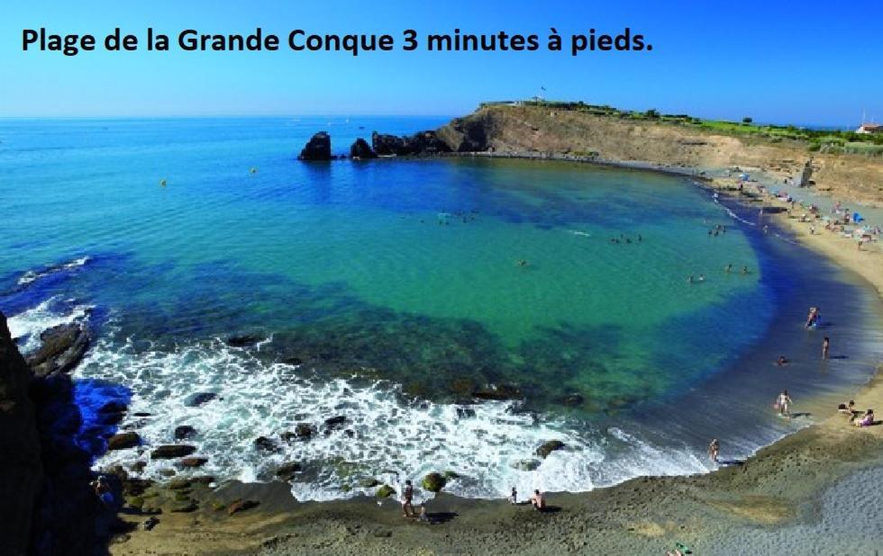 Cap D'Agde 300M Plage Du Mole,Vue Port,Parking,Lave Linge,Piscine Daire Dış mekan fotoğraf