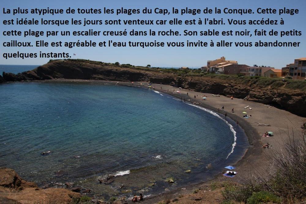 Cap D'Agde 300M Plage Du Mole,Vue Port,Parking,Lave Linge,Piscine Daire Dış mekan fotoğraf